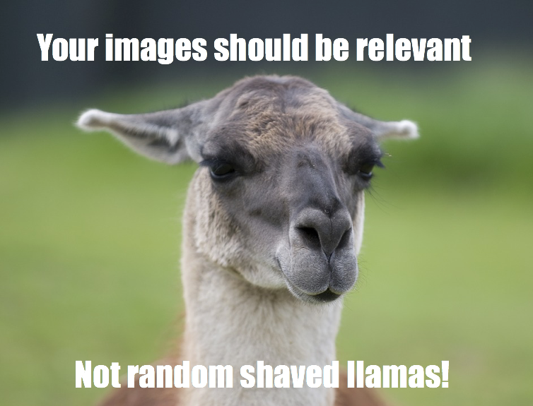 the images you use in your content should be relevant and relate to the content